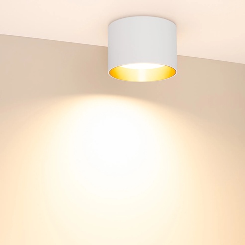 Светильник SP-BISCOTTO-R120-12W Warm3300-MIX (WH-GD, 80 deg, 230V) (Arlight, IP54 Металл, 5 лет)